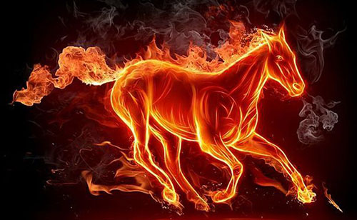 Looking forward to the market development trend of the global consolidation market in the coming yea